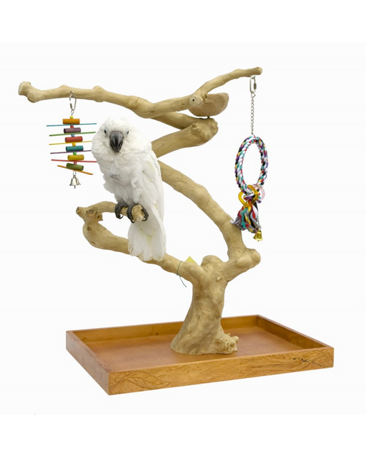 Java Mini Tree Medium NEW