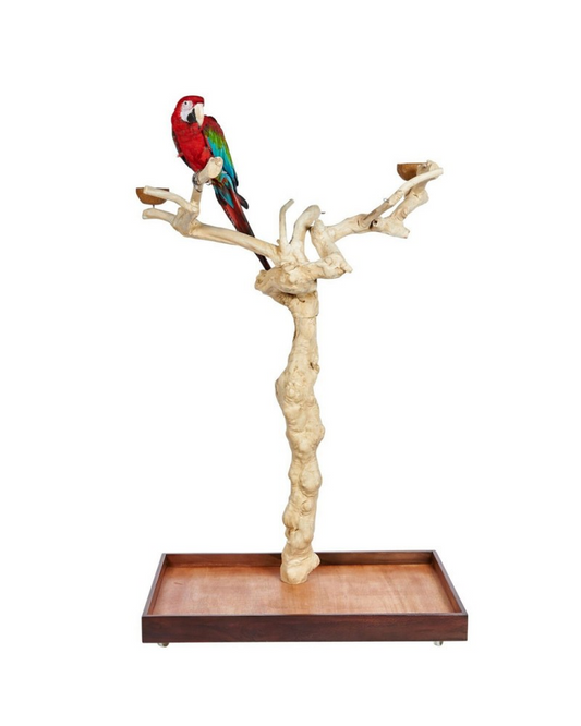 Java Tree BL NEW